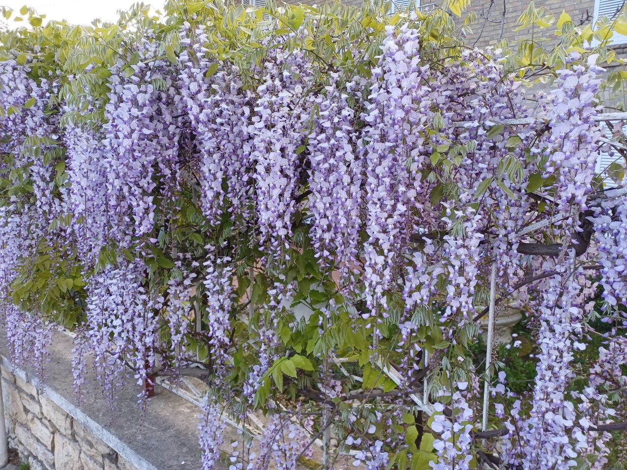Spring in Rome: Best Time to Visit the Eternal City for Sightseeing & Walking Tours